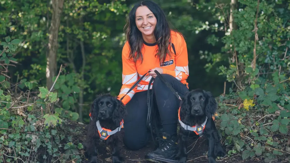 Detection dogs supporting wastewater monitoring