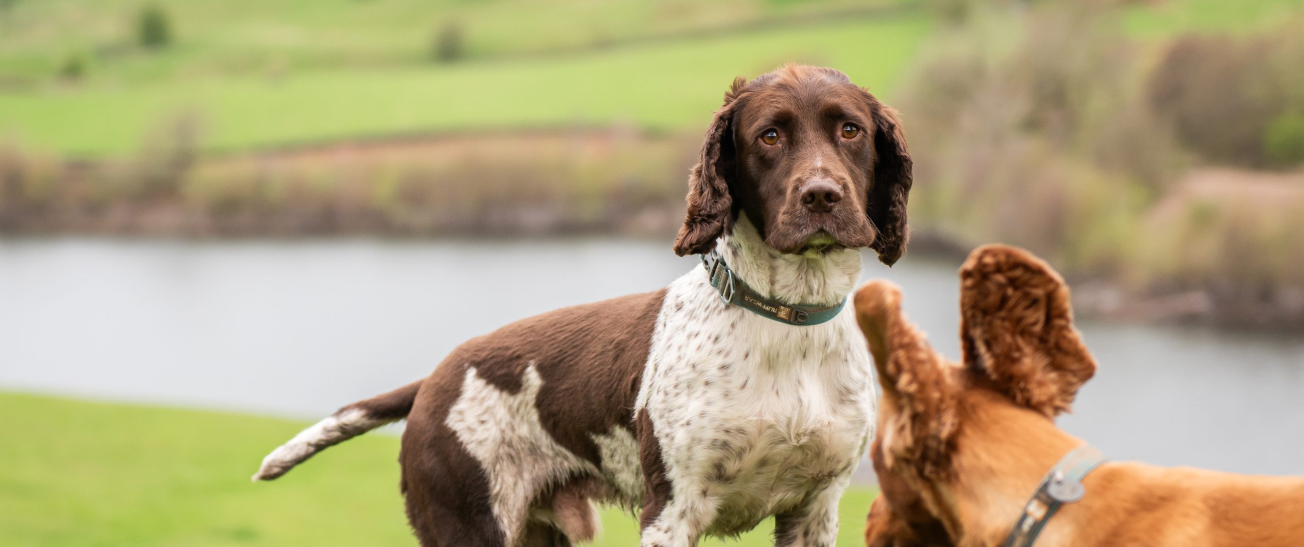 CAPE_SPC at work in the Piethorne Valley