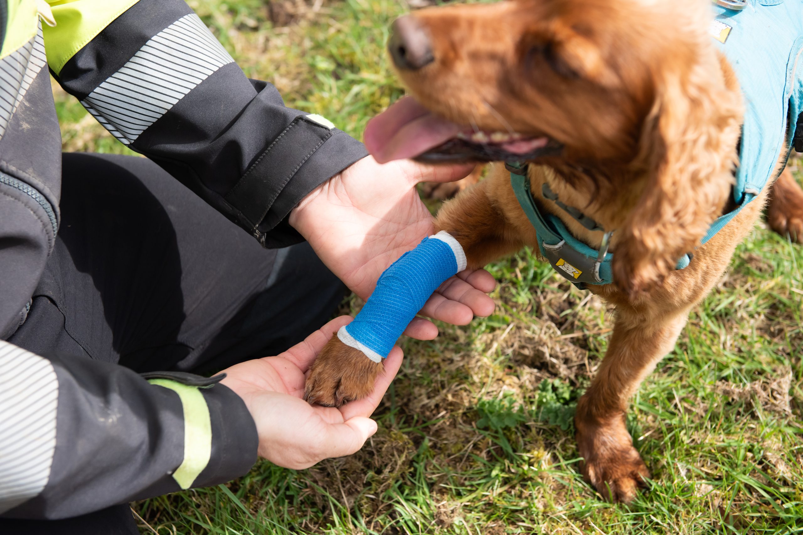 CAPE_SPC at work in the Piethorne Valley