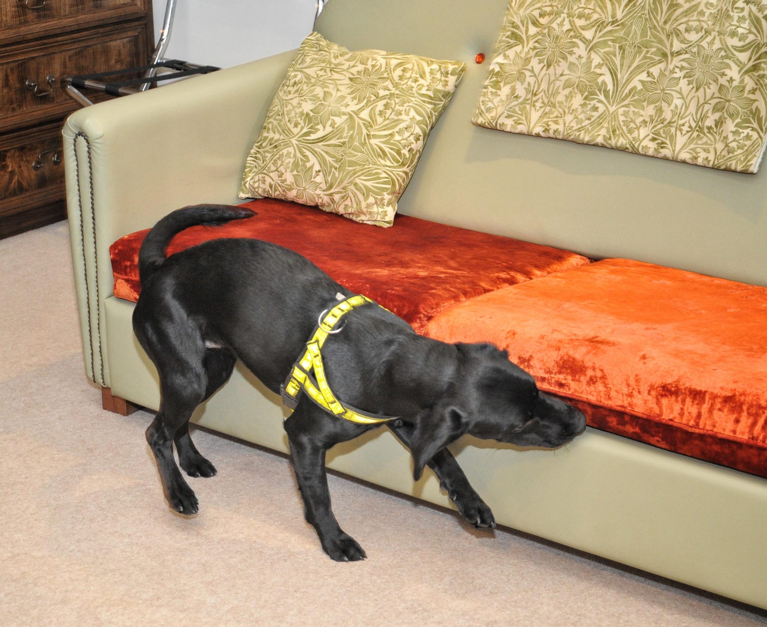 julianbrownpictures.wordpress.com
Picture by Julian Brown