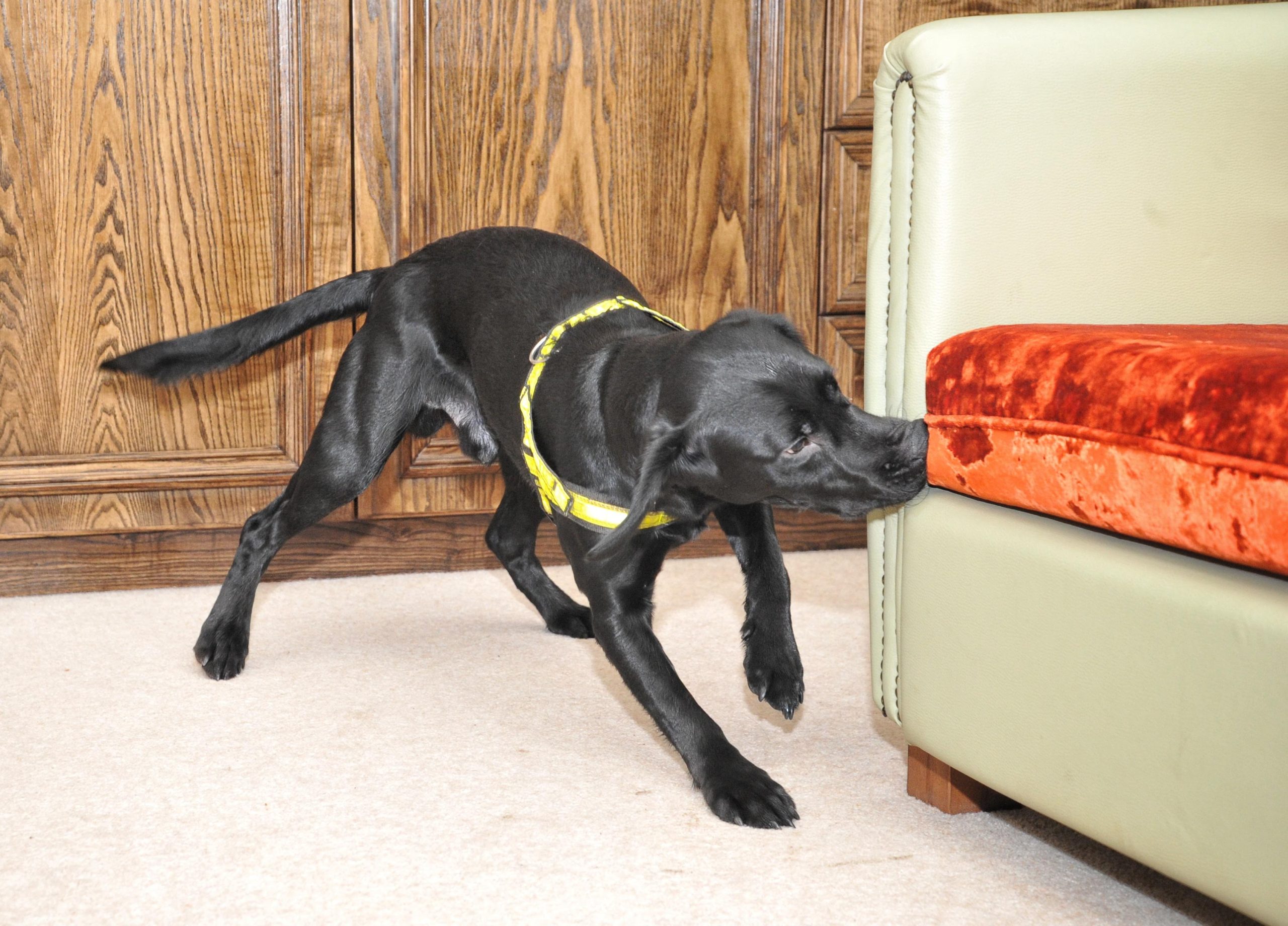 julianbrownpictures.wordpress.com
Picture by Julian Brown