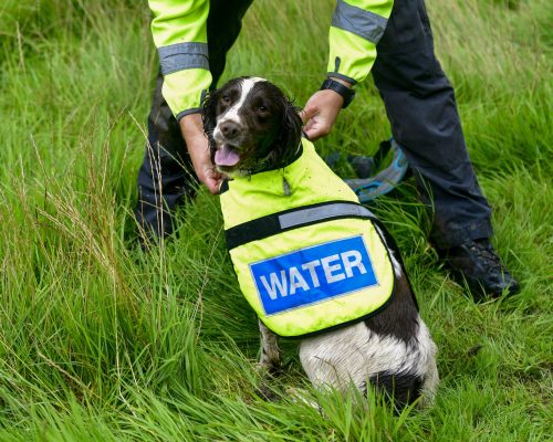 Specialist dog handler Luke Jones who along with his specially trained Springer Spaniel search dogs sniff out underground water leaks for United Utilities. Luke pictured with his dog Denzel: 21 August 2020